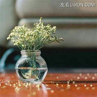 发明家帕特森3游戏下载
